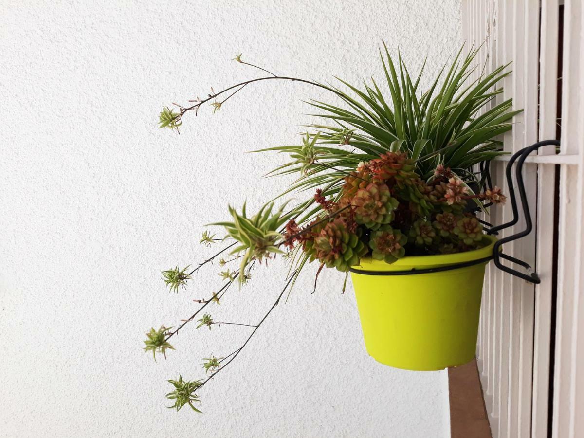 Appartement Mi Jardin à Benalmádena Extérieur photo